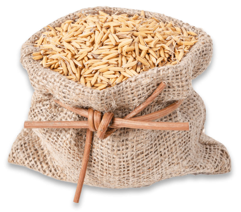 Eco-friendly jute sack filled with export-quality paddy rice grains
